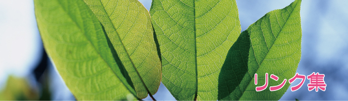 エコファクトリー株式会社 お役立ちリンク集